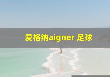 爱格纳aigner 足球